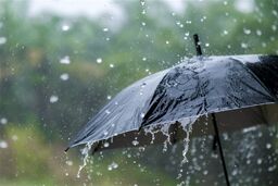 هشدار قرمز در گیلان و مازندران؛ طوفان آخر هفته چه آثاری برجای می‌گذارد؟