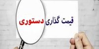 تناقض دولتی، بمب قیمت مرغ و تخم‌مرغ را فعال کرد؟