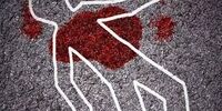 اعلام جزئیات قتل الهه حسین نژاد
