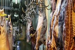 جنجال مالیاتی: فرآورده‌های گوشتی 'بدون مالیات' شدند؛ آیا قیمت‌ها پایین می‌آید؟