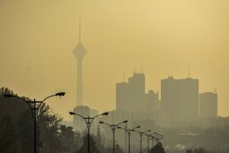 گزارش تکان‌دهنده از قربانیان آلودگی هوا