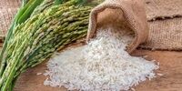 ناجی بازار برنج از راه رسید