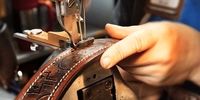 ایران چگونه اعضای دی ۸ را تصاحب کرد؟ رشد ۱۵۰ درصدی روابط تجاری!