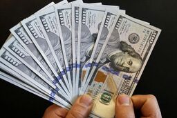 دلار حسابی بالا کشید