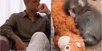 اشک‌های غافلگیرکننده ستاره سابق رئال برای بچه میمون معروف: راز ماجرا فاش شد!