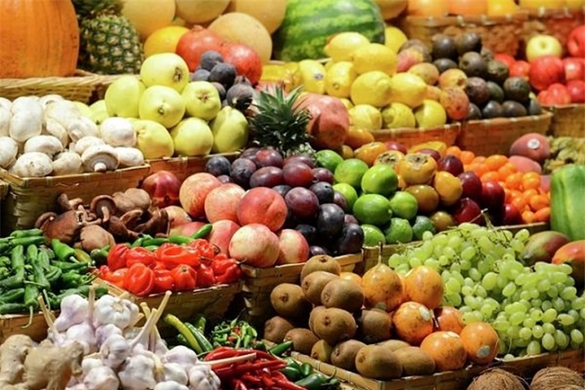 سیستان و بلوچستان، انبار میوه جهان: صادرات غول‌آسای محصولات گلخانه‌ای!