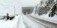 کابوس سرمازدگی بهاره: باغات ایران در آستانه فاجعه!