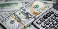 افشای پشت پرده حراج دلار پتروشیمی‌ها: دولت چه چیزی را پنهان می‌کند؟