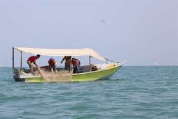 توقیف یک قایق در سواحل جنوب کشور / ماجرا چیست