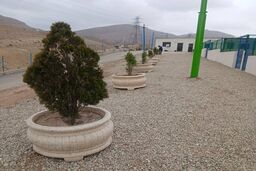 پناهگاه حیوانات پردیس؛ الگویی برای ساماندهی سگ‌های بلاصاحب در کشور