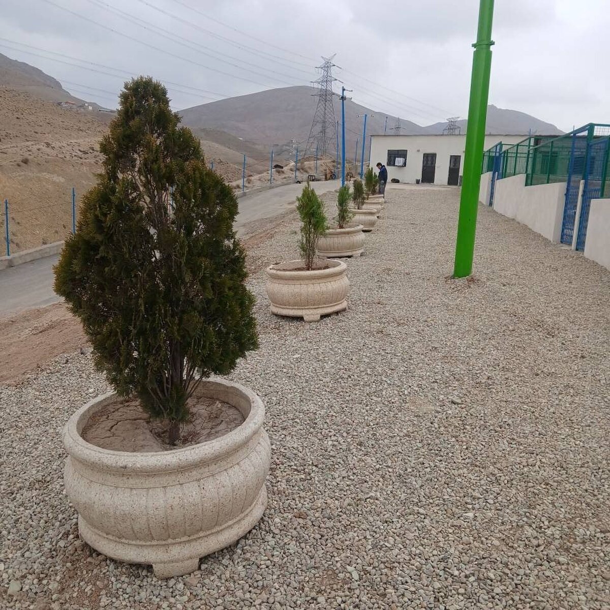 پناهگاه حیوانات پردیس؛ الگویی برای ساماندهی سگ‌های بلاصاحب در کشور