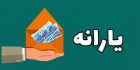 امکان جداسازی اعضای مجرد بالای ۱۸ از دریافت یارانه خانوار