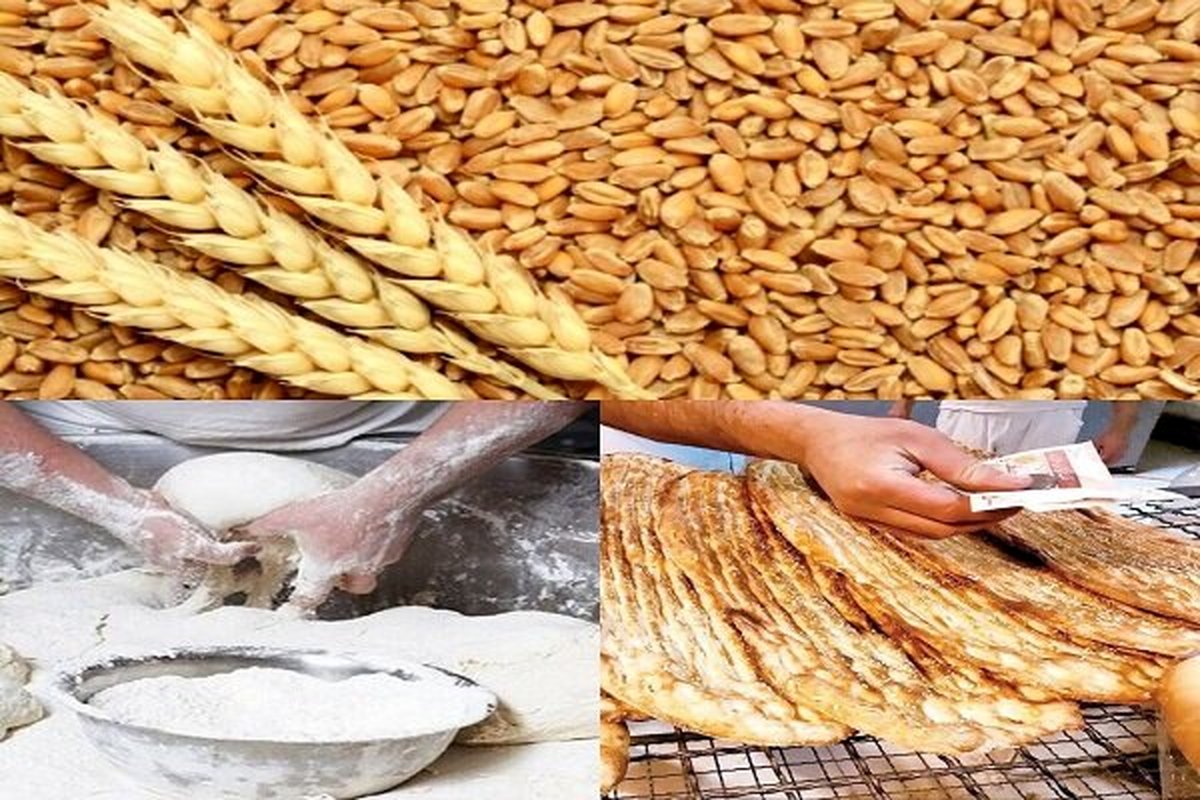 شوک ۲۹ همتی یارانه گندم در بودجه: آیا نان گران می‌شود؟