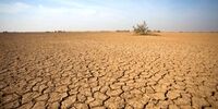 میدری: اخطار جنجالی به کارفرمایان؛ حق بیمه کارگران خط قرمز است!
