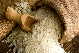 پایان انتظار برای غذا! رویکرد انقلابی سازمان غذا و دارو، گره ترخیص را باز کرد