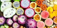 قیمت عجیب میوه محبوب / کیلویی ۵۰۰ هزار تومان!