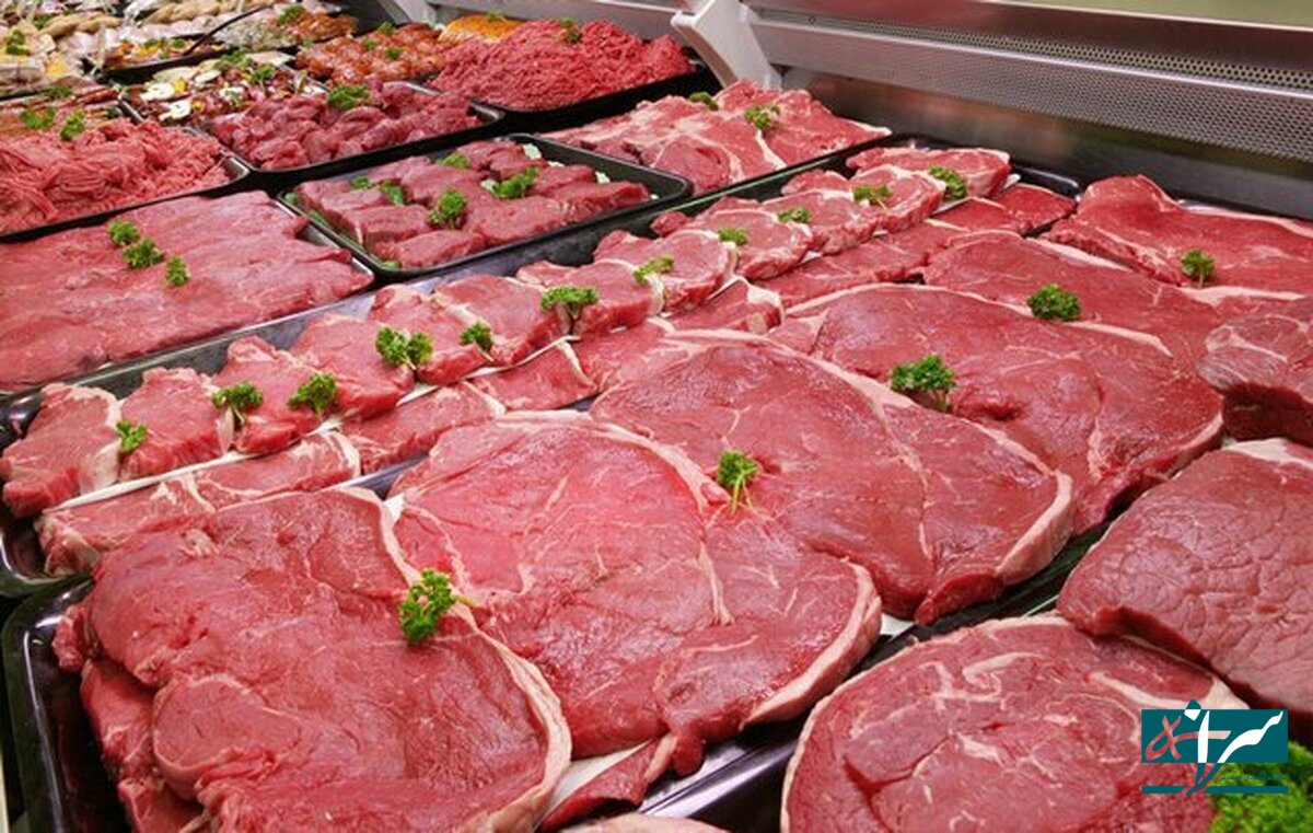 گوشت ۶۰۰هزارتومانی جایگزین گوشت دولتی شد