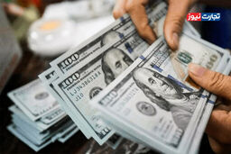 دلار در ایستگاه مذاکرات یخ زد! افشای سناریوی قفل شدن قیمت تا ۳۰ بهمن ۱۴۰۴ / آماده شوک باشید!