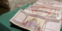 مرغ امروز ۲۰ آبان ۱۴۰۴: شوک قیمتی در بازار!