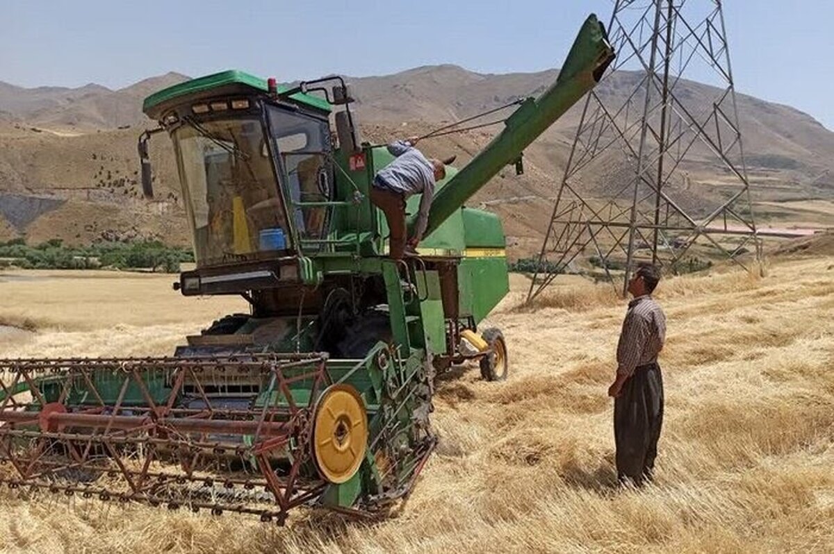 خبر فوری: پزشکیان بمب خبری در بازار گندم ترکاند: «این قیمت‌ها فاجعه‌اند و بزودی دگرگون می‌شوند!»