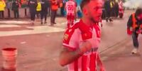 دربی بلگراد در جنون: آرناتوویچ رو به آسمان فریاد زد: "بهت گفته بودم سینیشا!" اشک‌هایی که فوتبال را تکان داد.