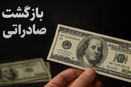 فوری: دولت تصمیم شوکه‌کننده‌ای گرفت! تغییر بزرگ در بازگشت ارز صادراتی از همین امروز