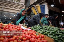گوجه‌فرنگی زیر قیمت باران؛ شوک گرانی به سفره خانه‌ها!