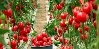 شوک به دشمن: ۱۰ فرمان محرمانه ایران برای فروپاشی دیوار تحریم!