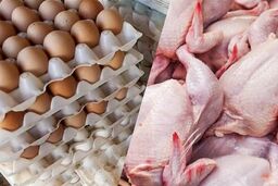 رقابت مرگبار مرغداران با حذف ارز ترجیحی