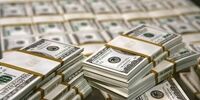 افشای رازهای بزرگ فارکس/ این دوره‌ها مسیر ثروتمند شدن شماست!