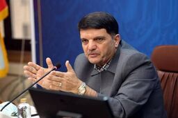 افشاگری: حمایت‌های دولتی کجا می‌رود؟ راه حل جنجالی: مستقیم به مردم!