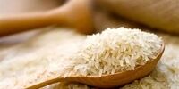 فاجعه در راه است: برنج خارجی با دلار ۱۶۰ هزار تومانی سفره‌ها را خالی می‌کند!
