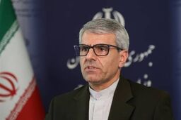 بقائی: بازی ایران در مذاکرات تغییر کرد؛ این بار فقط برای نتیجه!