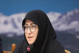 افشاگری شینا انصاری از پشت پرده راهکارهای کوتاه‌مدت آلودگی هوا: «یک توهم بزرگ!»