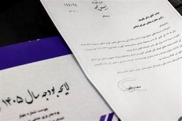 شوک ۲00 همتی گندم: مجلس چگونه بودجه دولت را گروگان گرفت؟