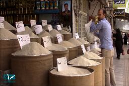 قیمت جدید برنج ایرانی، هندی و پاکستانی مشخص شد - ۹ آبان ۱۴۰۴