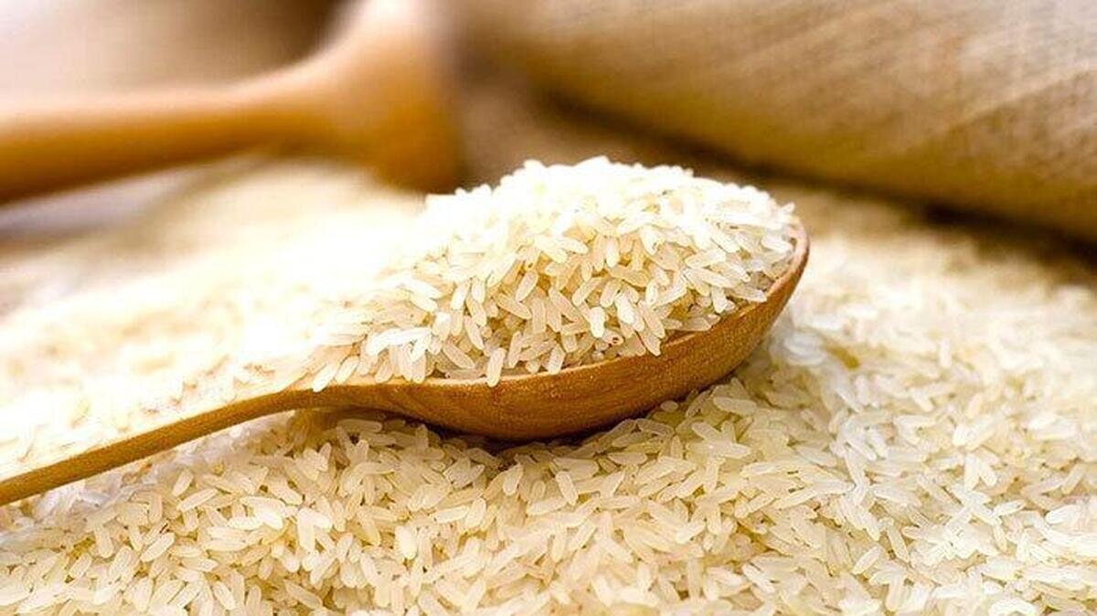 قیمت برنج افسار پاره کرد + علت ها