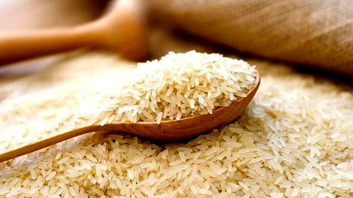 برنج ایرانی حسابی گران شد + قیمت 