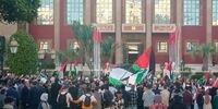 افشاگری شوک‌آور: ۸۷٪ اعراب، نه بزرگ به اسرائیل!