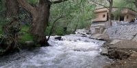 اعترافات عجیب یک سارق/ برای دزدی به استخر می‌رفتم!