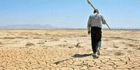 قالیباف چه هدیه نفیسی به همتای پاکستانی داد؟/ افشاگری جنجالی + ویدئو