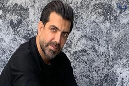 این بازیگر کنسرت مهران مدیری را مسخره کرد
