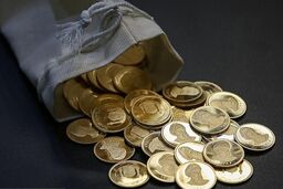 صفر تا صد حراج بزرگ امروز / قبل از خرید بخوانید