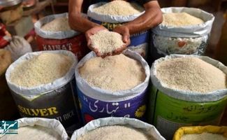 قیمت برنج پاکستانی امروز در بازار / آیا کمبود برنج پاکستانی داریم؟