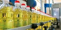پشت پرده کمبود روغن در بازار: پای چه کسانی در میان است؟
