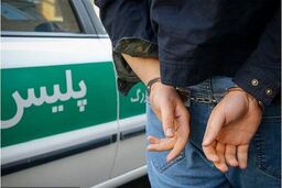 شوک هالیوودی مشهد / پایان سرقت‌های زنجیره‌ای