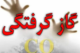 گازگرفتگی ۱۷ نفر در یک سردخانه