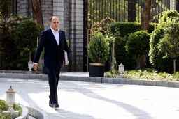 "نوری قزلجه: قیمت مرغ اصلاح شد! ادعای گرانی کذب محض است"