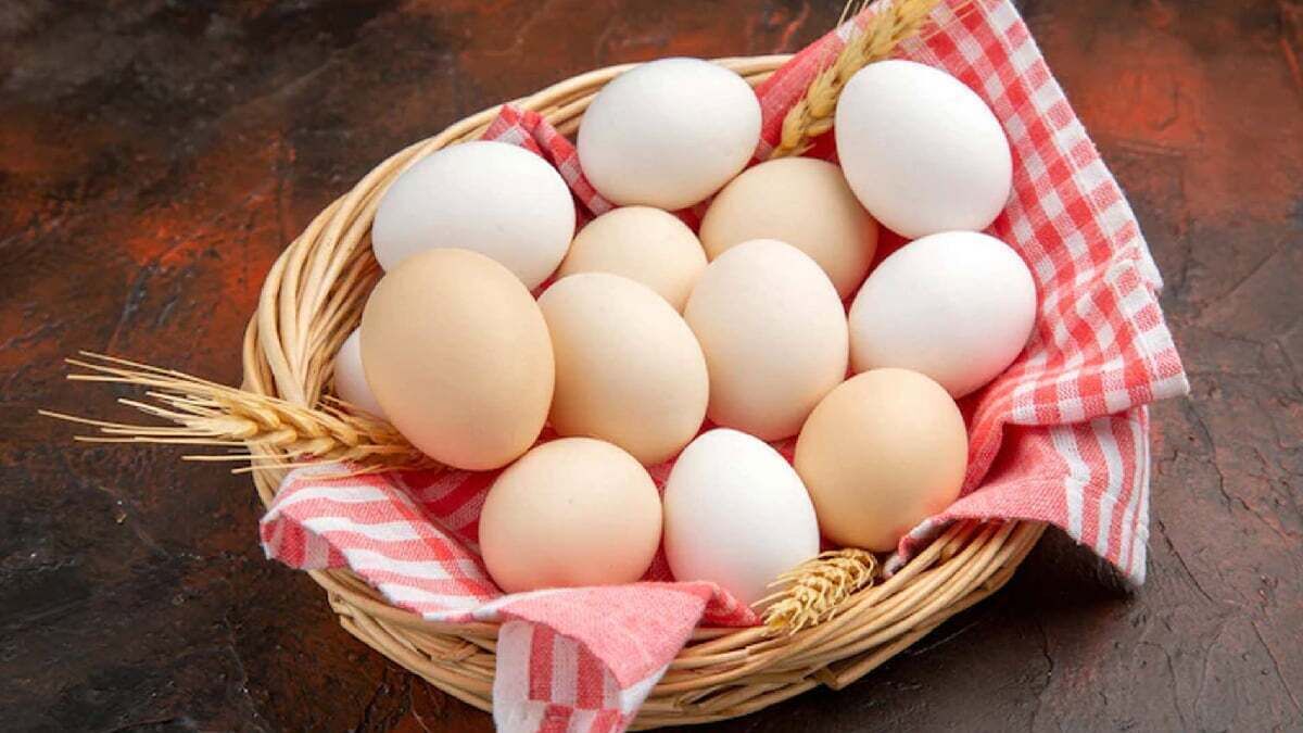 تخم‌مرغ دانه‌ای ۸ هزار تومان / صبحانه خوردن برای ایرانی ها رویا شد!