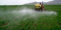 هشدار جدی: نظارت بر مواد غذایی وارداتی آغاز شد! خطر در کمین است؟